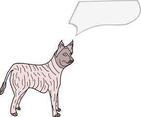 Köpek