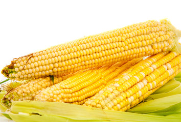 corn on the cob