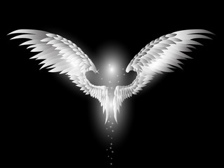 angel wings on dark background