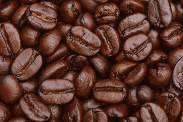 Coffee beans closeup
