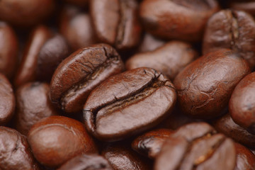 Coffee beans closeup