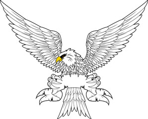 Spread winged eagle insignia