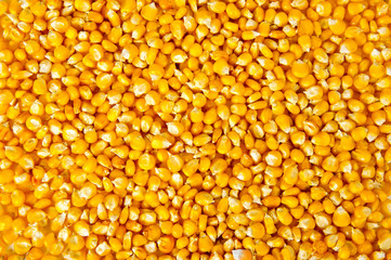 corn