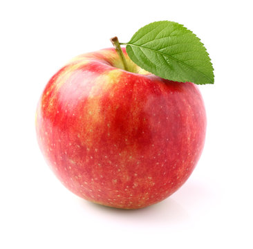 Ripe Apple With Leaf