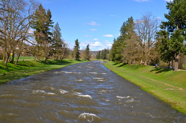 Riever Wiese on a sunny spring day, Riehen, Switzerland