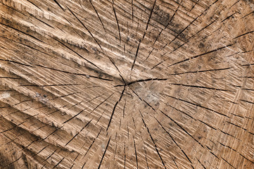 Fototapeta premium Drewniane tło