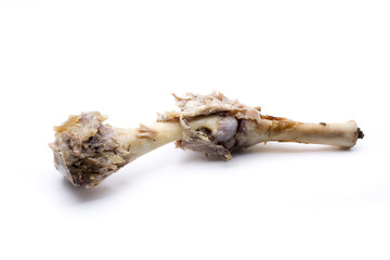 leg lamb bone © Jarp