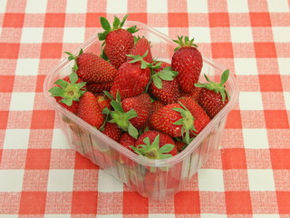 Vaschetta di fragole - Strawberries in tray