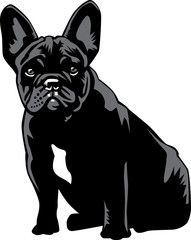 Sitting French Bulldog