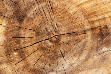 Fototapety  Drewniane tło