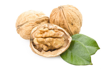 Walnut close up on the white  background