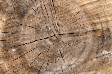 Naklejki  Drewniane tło