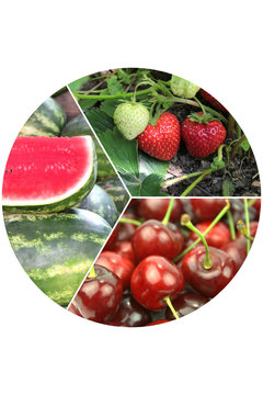 Delicious fresh fruits collage