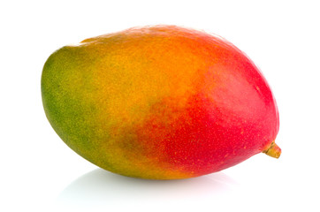Mango fruit