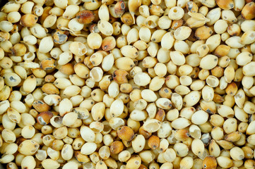 Sorghum rice background .