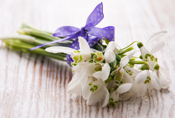 Bunch of snowdrop flowers