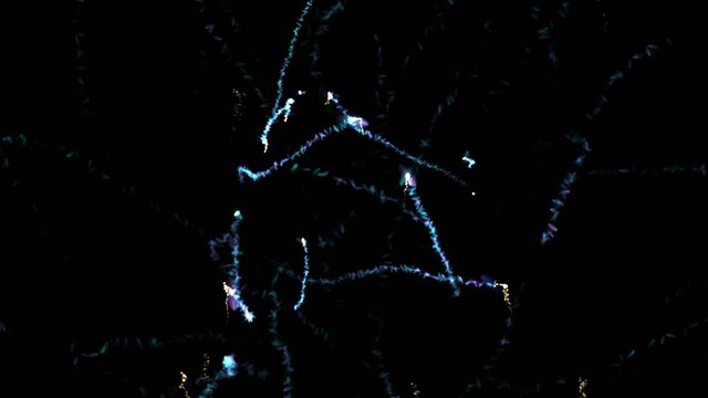 Fairy Dust  / Black Background