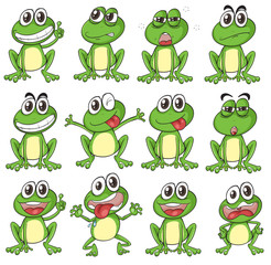 Obraz premium Different faces of a frog