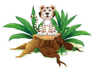 Obraz na płótnie Canvas A tiger above a trunk