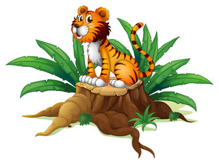 Fototapeta na wymiar A big tree with a tiger