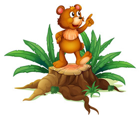 Fototapeta premium A baby bear above a wood