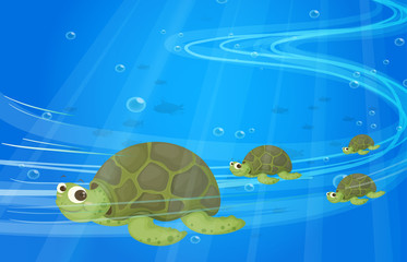 Turtles under the sea