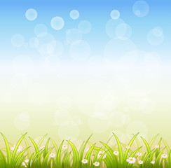 Fototapeta premium A blue special paper with plants