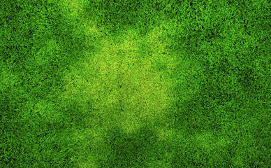 Zielona trawa - obrazy, fototapety, plakaty