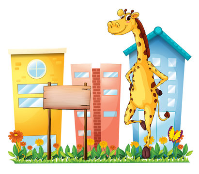 A giraffe standing beside an empty wooden signboard