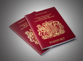 Two UK passports - 51811776