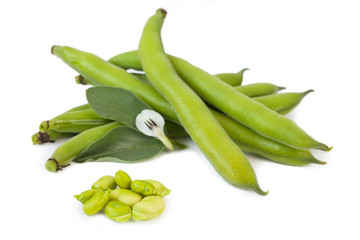 Broad beans on white background_VI