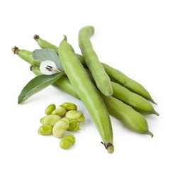 Broad beans on white background_II