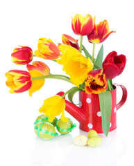 Easter composition with fresh tulips and easter eggs isolated