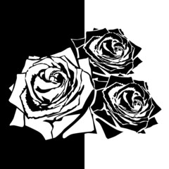 Wit silhouet van roos met bladeren. Zwarte achtergrond