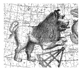 Astrology/Astronomy - Sky Map : Leo - Lion - Löwe