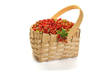 Fototapeta na wymiar Cowberry in wicker basket isolated on white background