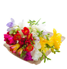 bouquet of freesias flowers