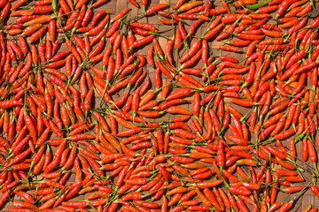 Background of closeup red hot peppers