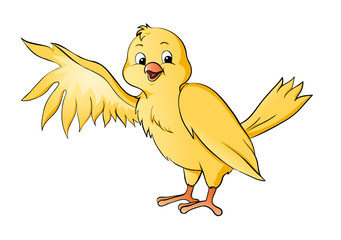 Vogel Kanarienvogel Kanarie