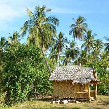 litle bamboo house