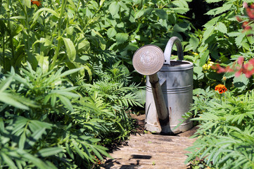 Arrosoir dans jardin © Stoone