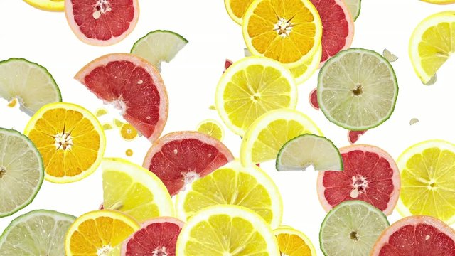 Citrus Fruits background (with alpha)