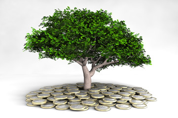 Euro Baum