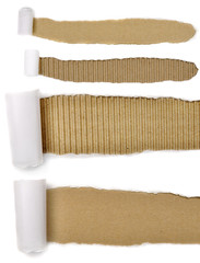 Set Of Torn Paper