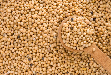 Mustard spices and spoon