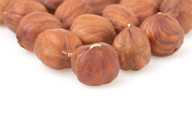 hazelnut nut on white