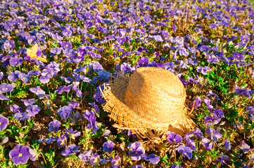Straw hat on a field of purple pansies with a butterfly