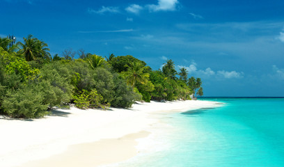 Fototapeta na wymiar tropikalnej plaży na Malediwach