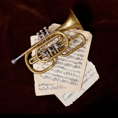 Vintage trumpet is lying between paper sheets with notes