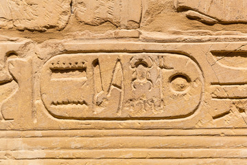 Hieroglyphic of pharaoh civilization in Karnak temple, Egypt